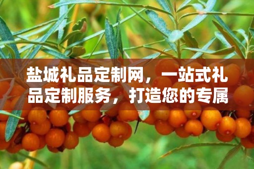 盐城礼品定制网，一站式礼品定制服务，打造您的专属礼品世界